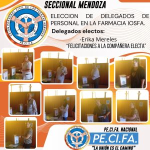 WhatsApp Image 2025-12-10 at 8.50.27 AM